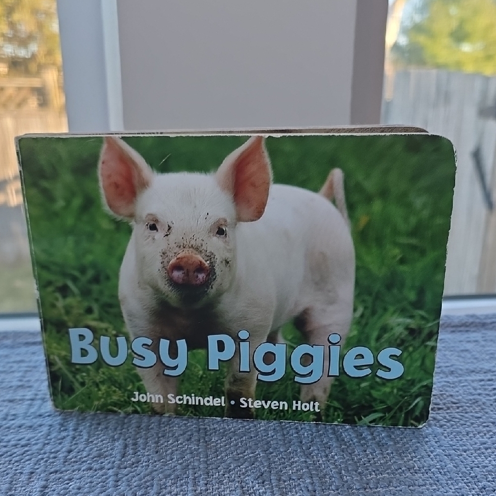 Busy Piggies Green and White Board Book